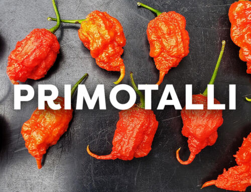 Ardei iuți: Primotalii