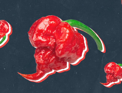 Carolina Reaper: Cel mai iute ardei din lume