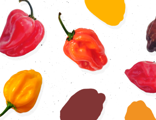 Ardei iuți: Habanero